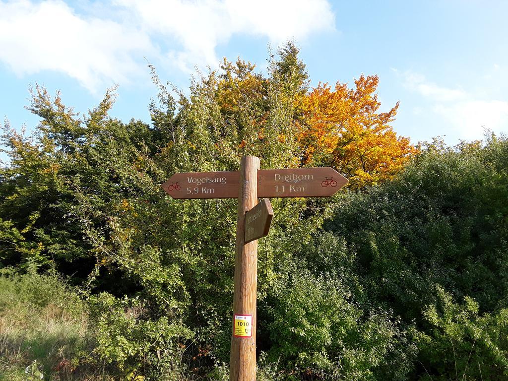 Poehl Am Nationalpark Eifel Διαμέρισμα Schleiden Εξωτερικό φωτογραφία