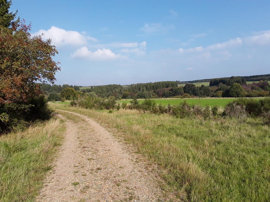 Poehl Am Nationalpark Eifel Διαμέρισμα Schleiden Εξωτερικό φωτογραφία