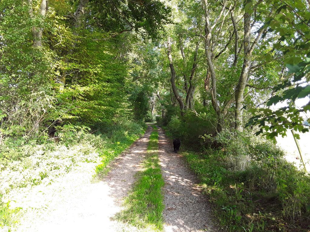 Poehl Am Nationalpark Eifel Διαμέρισμα Schleiden Εξωτερικό φωτογραφία