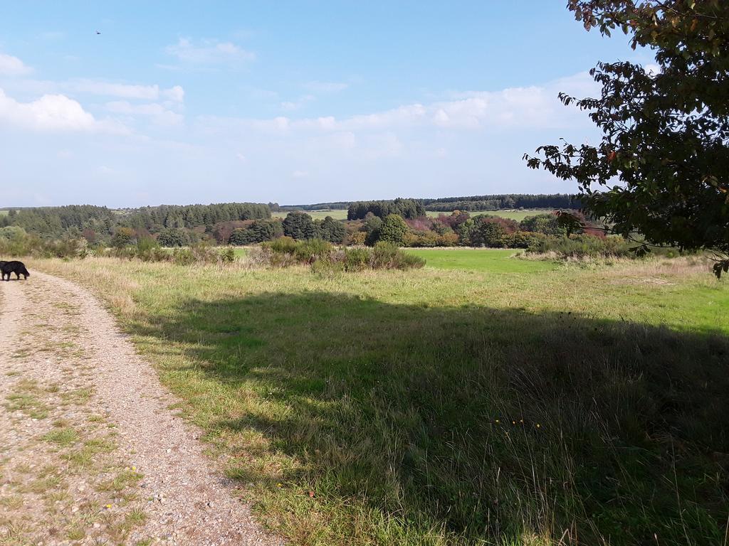 Poehl Am Nationalpark Eifel Διαμέρισμα Schleiden Εξωτερικό φωτογραφία