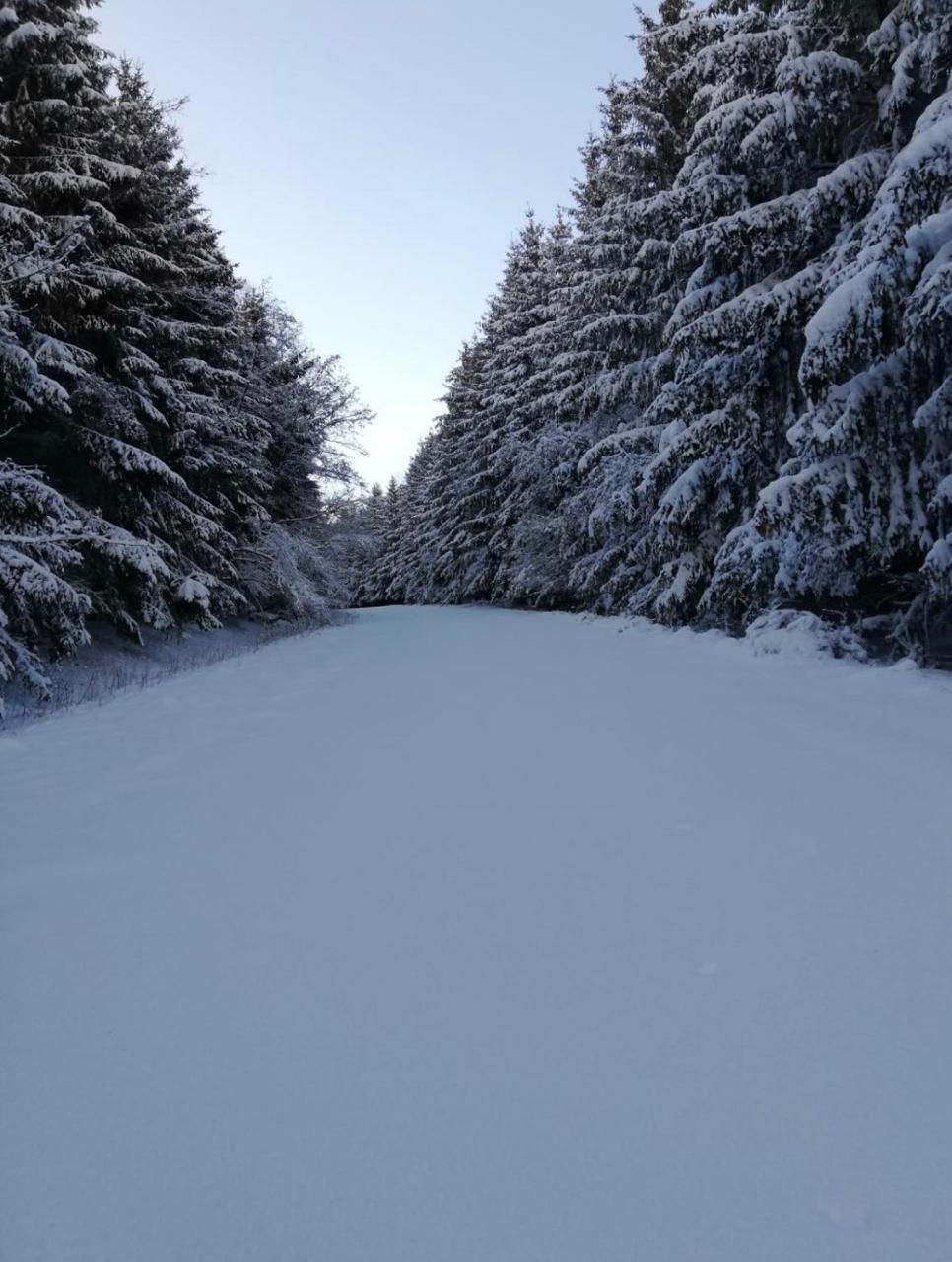 Poehl Am Nationalpark Eifel Διαμέρισμα Schleiden Εξωτερικό φωτογραφία